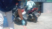 IMG-20260811-WA0028