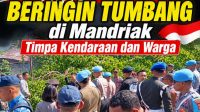 IMG-20260817-WA0016