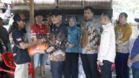 IMG-20260903-WA0038